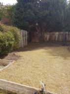 Click for all images